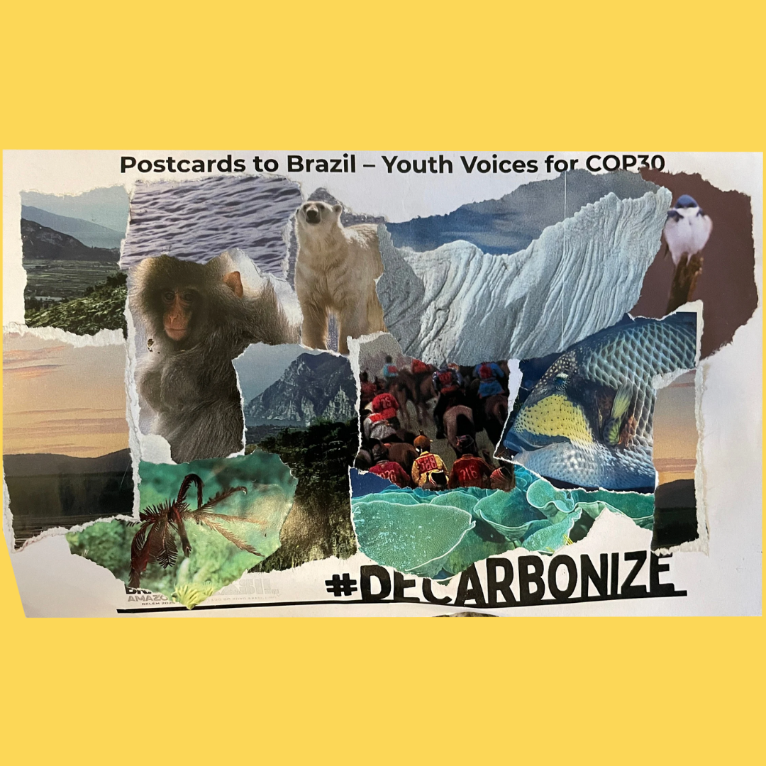 1-Dec-16-2025-03-09-39-2553-PM