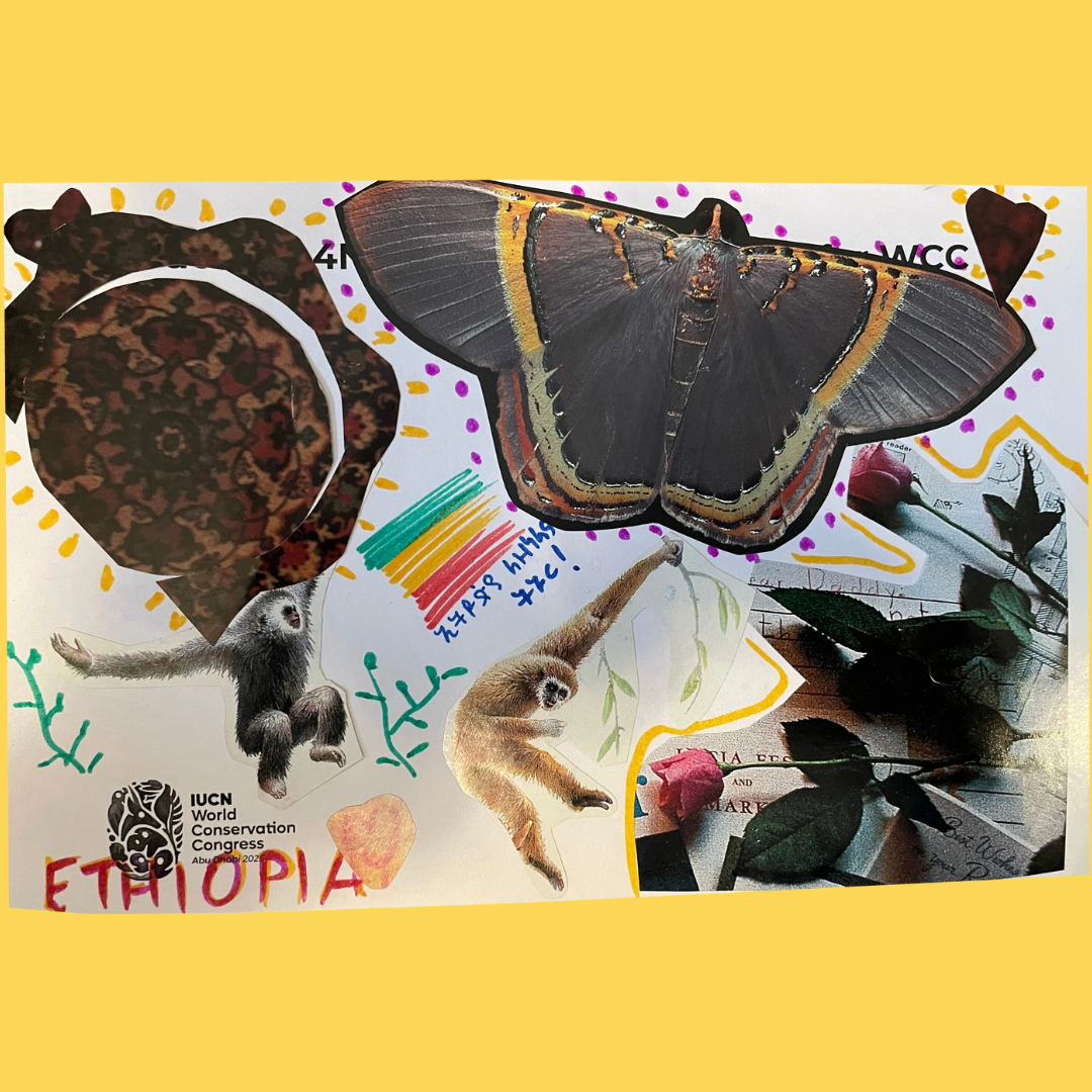 3-Dec-16-2025-03-14-31-1048-PM