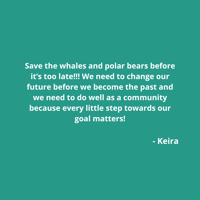 Illustration by Jeannie Phan; a map of the Ontario Greenbelt and its endangered species