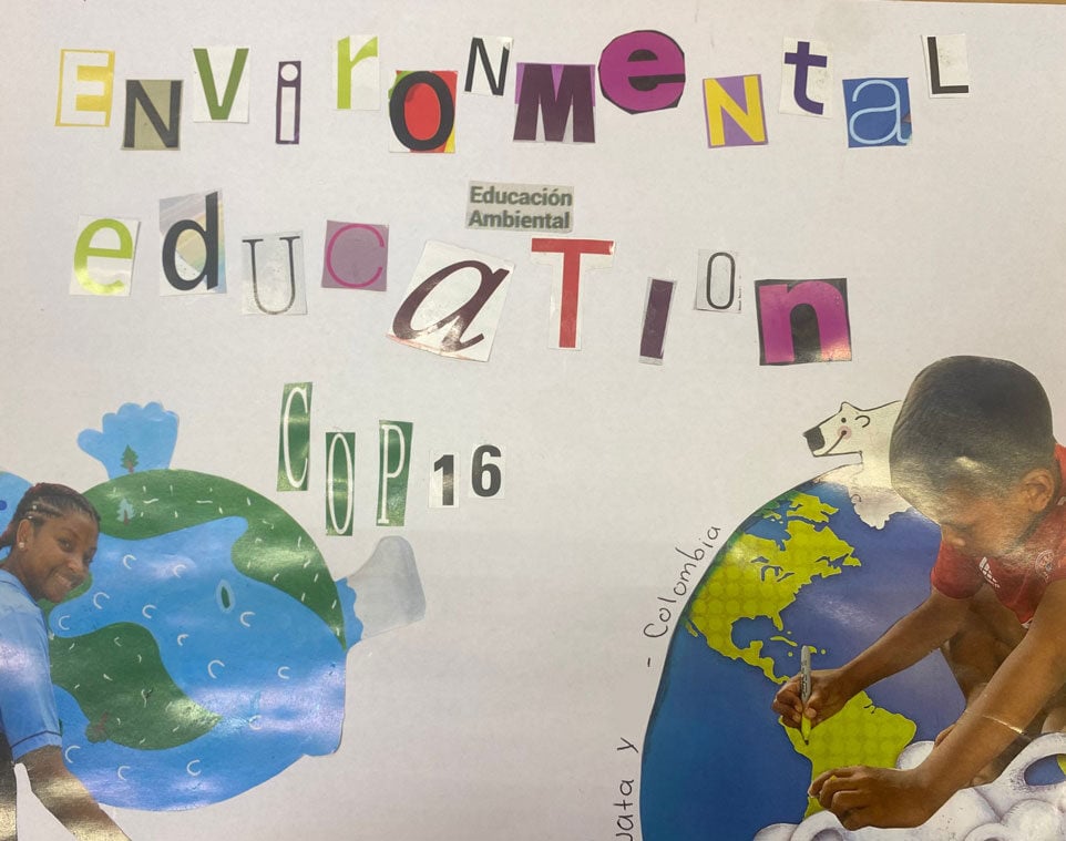 Environmental-education-small