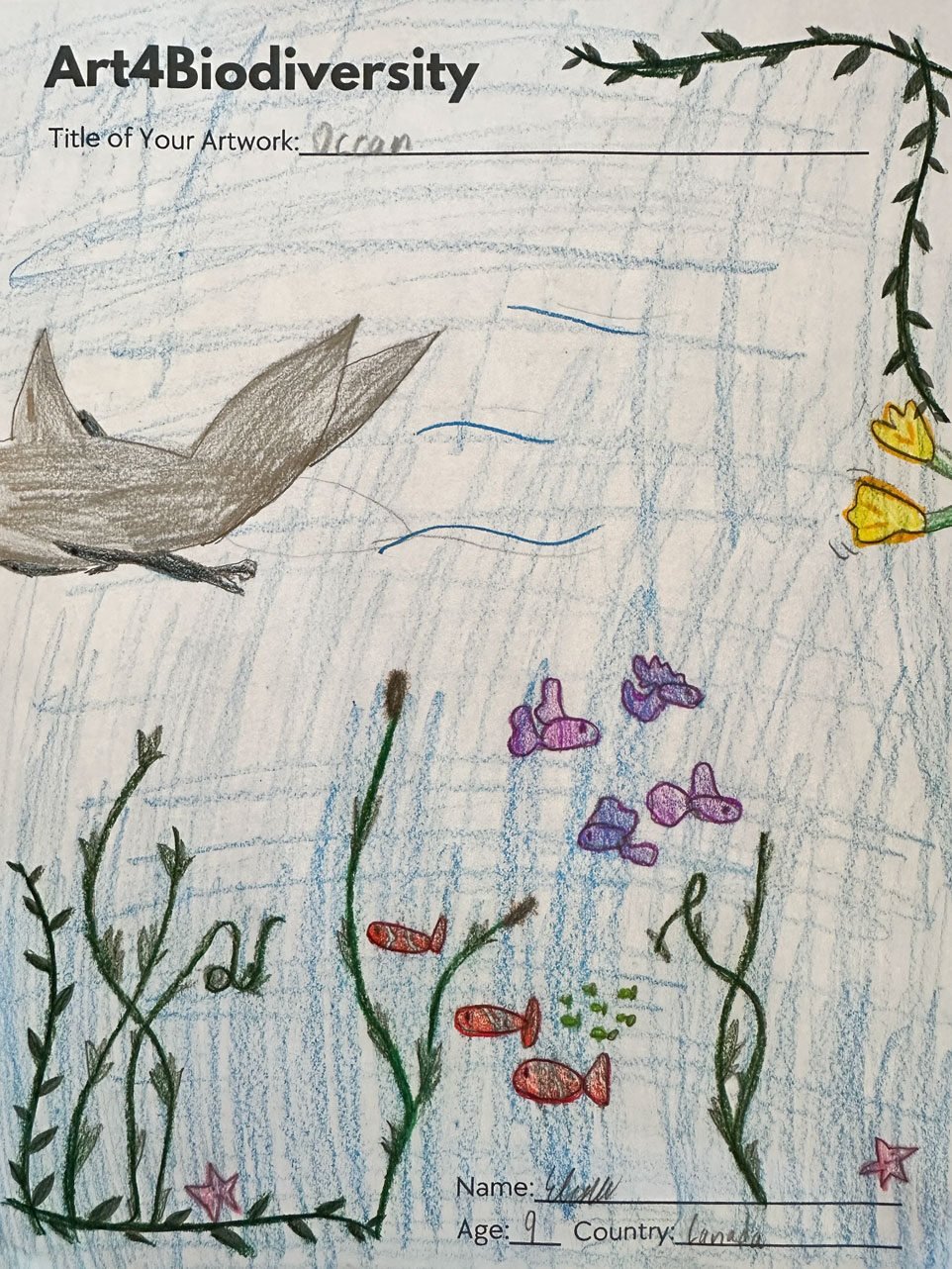 Please-if-you-have-garbage-put-it-in-the-trash-not-the-ocean