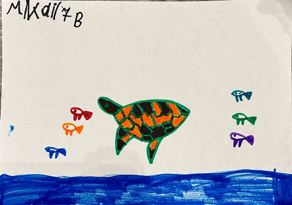 happy-fish-happy-turtles-small